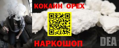 2c-b Кингисепп