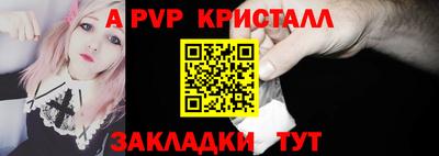 2c-b Кингисепп