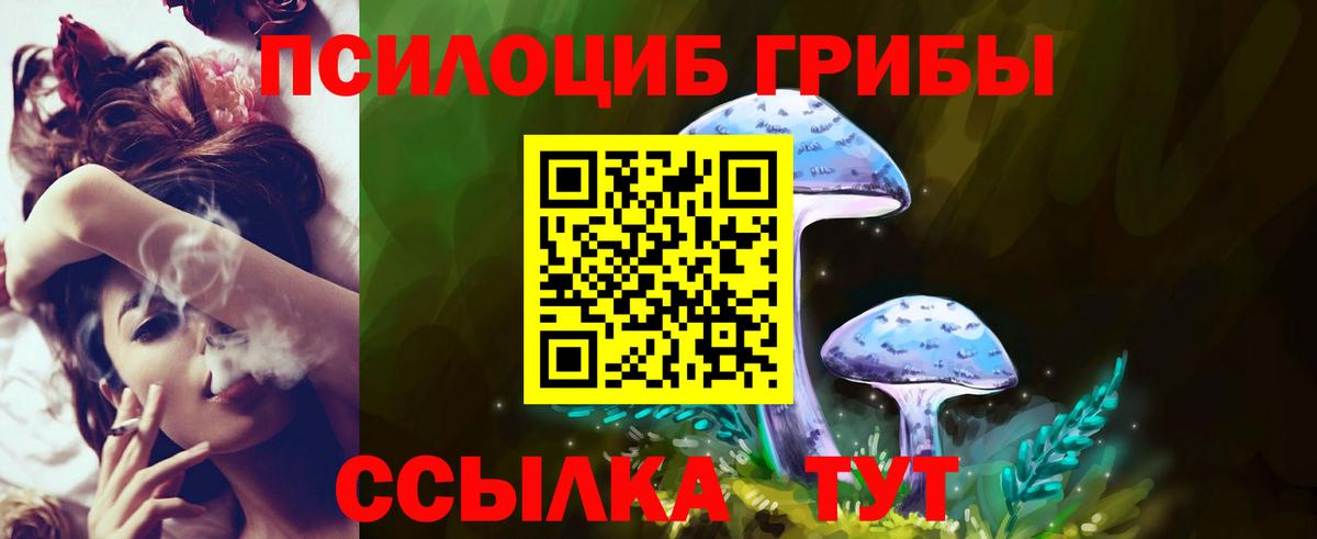 Людиново  Галлюциногенные грибы MAGIC MUSHROOMS  Вход с VPN 