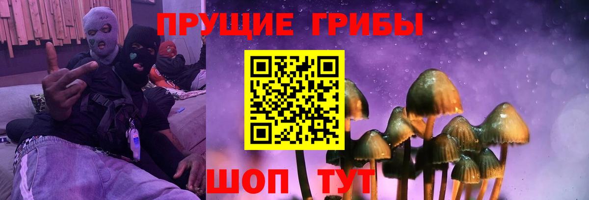Галлюциногенные грибы Psilocybe Людиново
